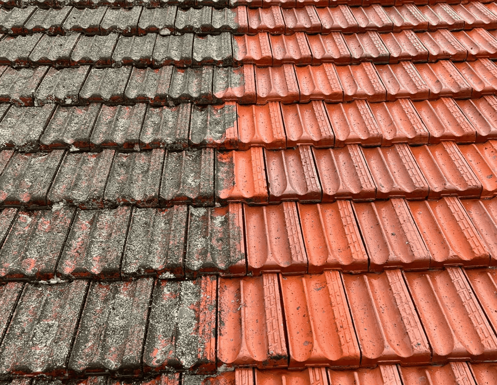 Roof Cleaning 7