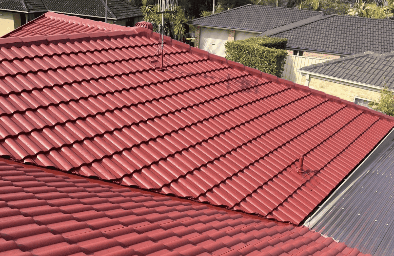 Roof Painting 5